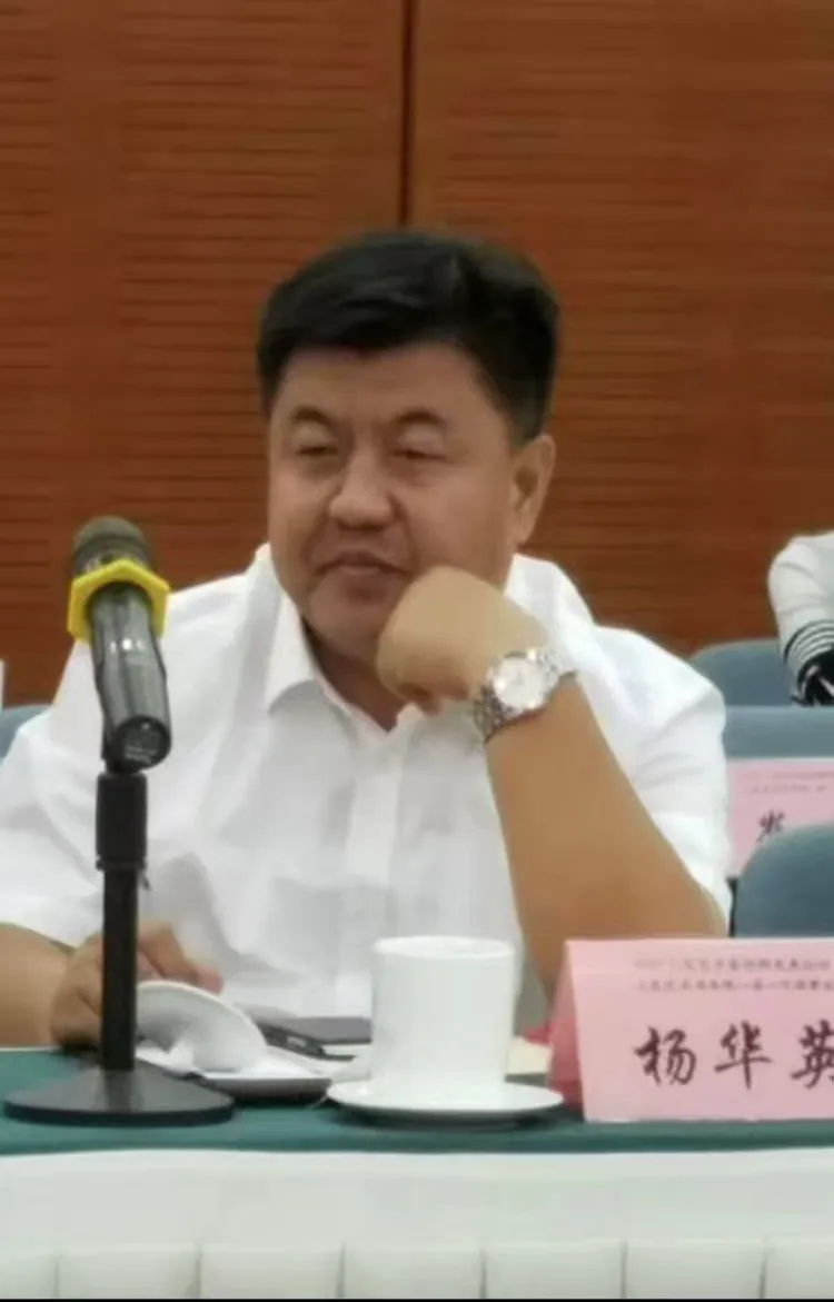 杨华英（秘书长）——名人百科